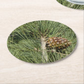 Torrey Pine Closeup California Botanical Runder Pappuntersetzer (Angewinkelt)