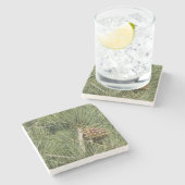 Torrey Pine Closeup California Botanical Steinuntersetzer (Seitenansicht)