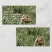 Torrey Pine Closeup California Botanical Visitenkarte (Vorne/Hinten)