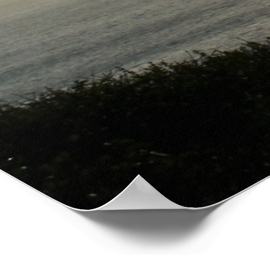 Torrey Pine Silhouette Matte Leinwand Poster (Ecke)