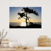 Torrey Pine Silhouette Matte Leinwand Poster (Küche)