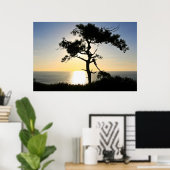 Torrey Pine Silhouette Matte Leinwand Poster (Heimbüro)