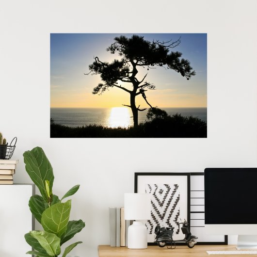 Torrey Pine Silhouette Matte Leinwand Poster (Heimbüro)