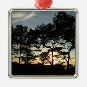 Torrey Pine Sonnenuntergang II kalifornische Lands Silbernes Ornament