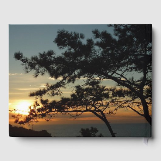 Torrey Pine Sunset I California Landscape Gästebuch (Rückseite)