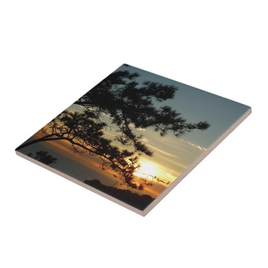 Torrey Pine Sunset I California Landschaft Fliese (Seite)