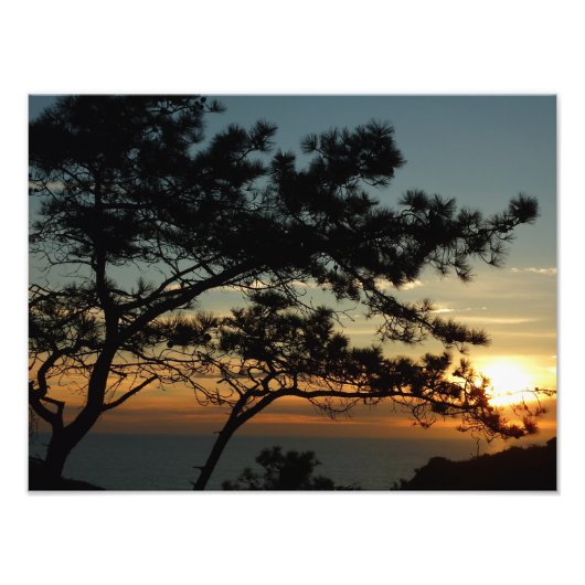 Torrey Pine Sunset I California Landschaft Fotodruck (Vorne)