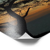 Torrey Pine Sunset I California Landschaft Fotodruck (Ecke)