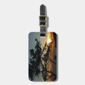 Torrey Pine Sunset I California Landschaft Gepäckanhänger (Vorderseite vertikal)