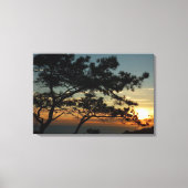 Torrey Pine Sunset I California Landschaft Leinwanddruck (Vorderseite)