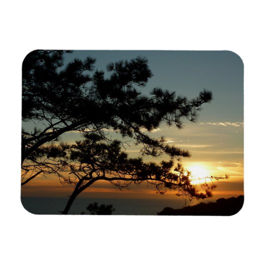 Torrey Pine Sunset I California Landschaft Magnet (Horizontal)