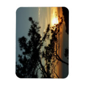 Torrey Pine Sunset I California Landschaft Magnet (Vertikal)
