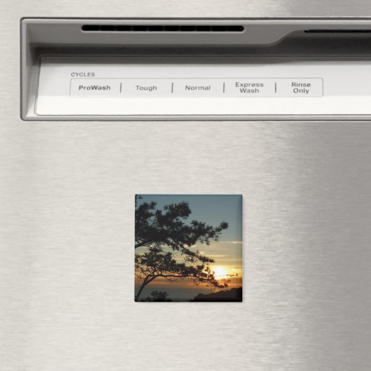 Torrey Pine Sunset I California Landschaft Magnet (In Situ (Geschirrspüler))