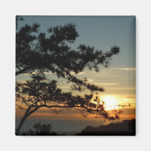 Torrey Pine Sunset I California Landschaft Magnet