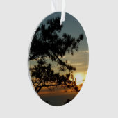 Torrey Pine Sunset I California Landschaft Ornament (Vorderseite)