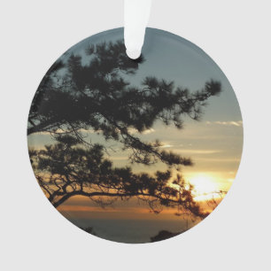 Torrey Pine Sunset I California Landschaft Ornament