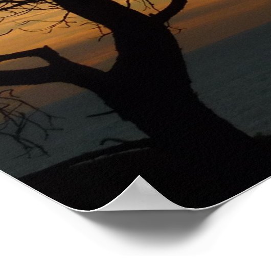 Torrey Pine Sunset I California Landschaft Poster (Ecke)