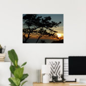Torrey Pine Sunset I California Landschaft Poster (Heimbüro)