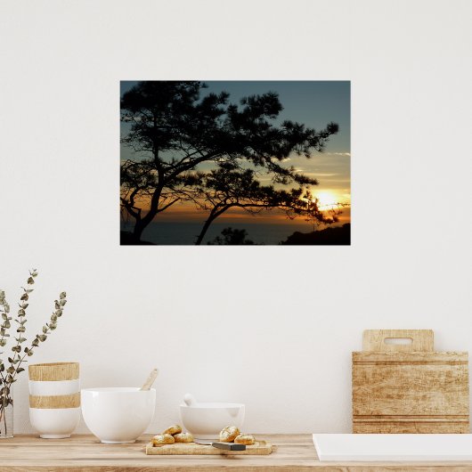 Torrey Pine Sunset I California Landschaft Poster (Küche)