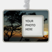 Torrey Pine Sunset I California Landschaft Rahmen-Ornament Silber (Vorderseite)