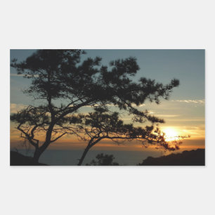 Torrey Pine Sunset I California Landschaft Rechteckiger Aufkleber