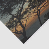 Torrey Pine Sunset I California Landschaft Seidenpapier (Ausschnitt)