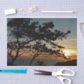 Torrey Pine Sunset I California Landschaft Seidenpapier (Handwerk)