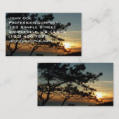 Torrey Pine Sunset I California Landschaft Visitenkarte (Vorne/Hinten)