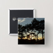 Torrey Pine Sunset II Kalifornien Landschaft Button (Vorne & Hinten)