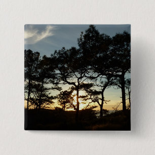 Torrey Pine Sunset II Kalifornien Landschaft Button