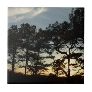 Torrey Pine Sunset II Kalifornien Landschaft Fliese