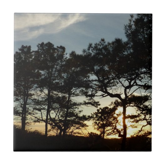 Torrey Pine Sunset II Kalifornien Landschaft Fliese (Vorderseite)