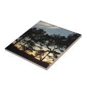 Torrey Pine Sunset II Kalifornien Landschaft Fliese (Seite)