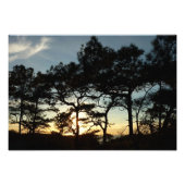 Torrey Pine Sunset II Kalifornien Landschaft Fotodruck (Vorne)
