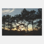 Torrey Pine Sunset II Kalifornien Landschaft Geschenkpapier Set (Vorderseite)
