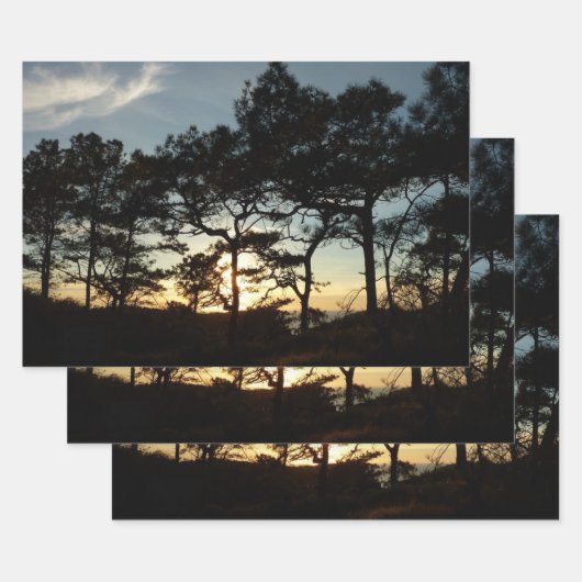 Torrey Pine Sunset II Kalifornien Landschaft Geschenkpapier Set (Set)