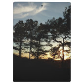 Torrey Pine Sunset II Kalifornien Landschaft Klemmbrett (Rückseite)