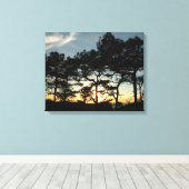 Torrey Pine Sunset II Kalifornien Landschaft Leinwanddruck (Insitu (Holzboden))
