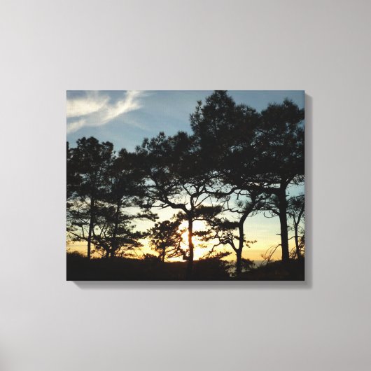 Torrey Pine Sunset II Kalifornien Landschaft Leinwanddruck (Vorderseite)