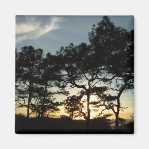 Torrey Pine Sunset II Kalifornien Landschaft Magnet