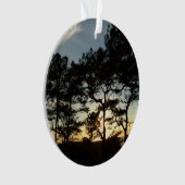 Torrey Pine Sunset II Kalifornien Landschaft Ornament (Vorderseite)