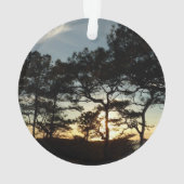 Torrey Pine Sunset II Kalifornien Landschaft Ornament (Rückseite)