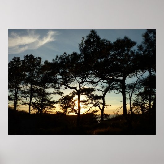 Torrey Pine Sunset II Kalifornien Landschaft Poster (Vorne)