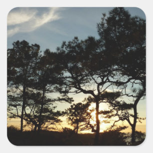 Torrey Pine Sunset II Kalifornien Landschaft Quadratischer Aufkleber