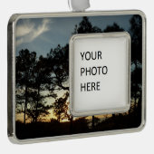 Torrey Pine Sunset II Kalifornien Landschaft Rahmen-Ornament Silber (Rechts)