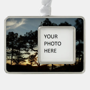 Torrey Pine Sunset II Kalifornien Landschaft Rahmen-Ornament Silber