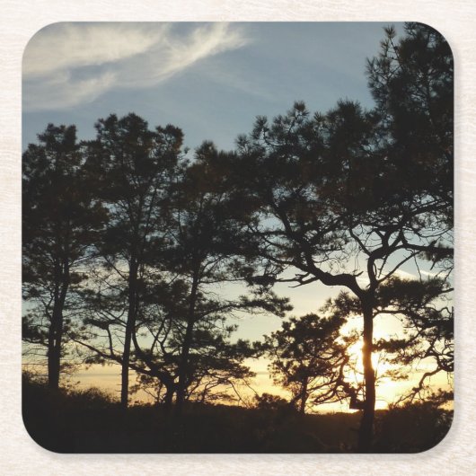 Torrey Pine Sunset II Kalifornien Landschaft Rechteckiger Pappuntersetzer (Vorderseite)