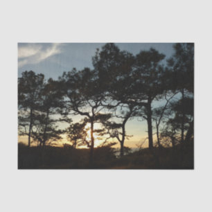 Torrey Pine Sunset II Kalifornien Landschaft Seidenpapier