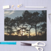 Torrey Pine Sunset II Kalifornien Landschaft Seidenpapier (Handwerk)