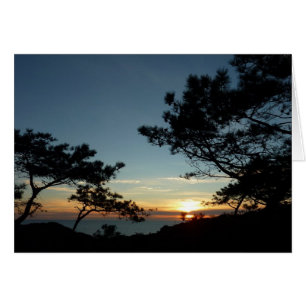Torrey Pine Sunset III California Landschaft